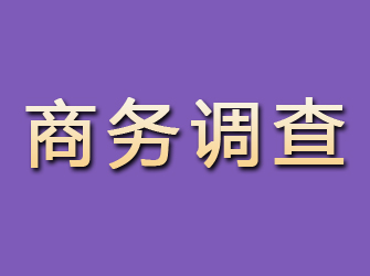 崇安商务调查